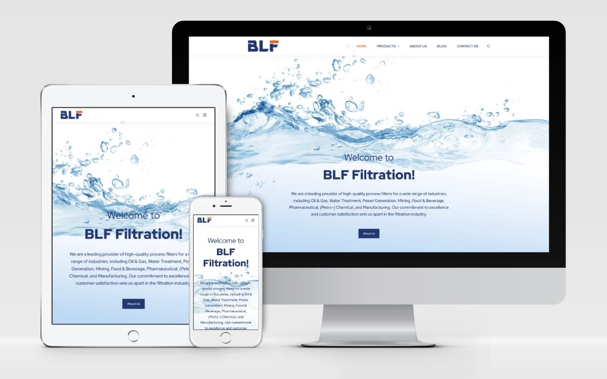 responsywny projekt strony internetowej https://blf.com.pl